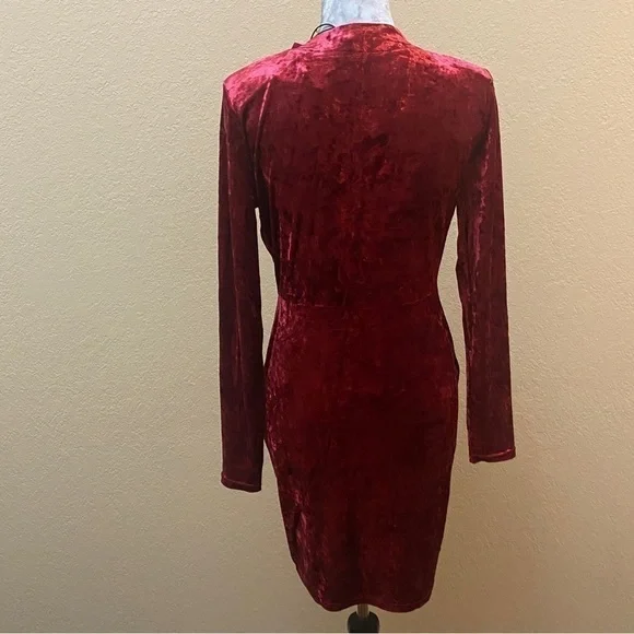 NWT Betsey Johnson Valentine Red Crush Velvet Dress M - Picture 5 of 13